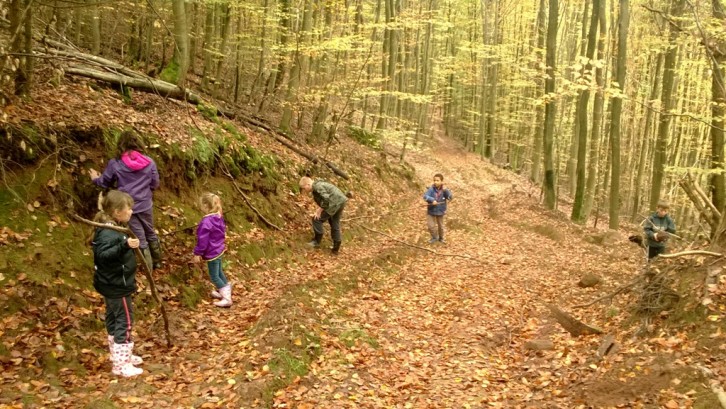 Recherche d'éléments en forêt