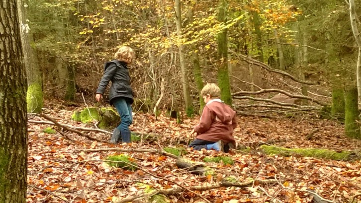 Recherches en forêt